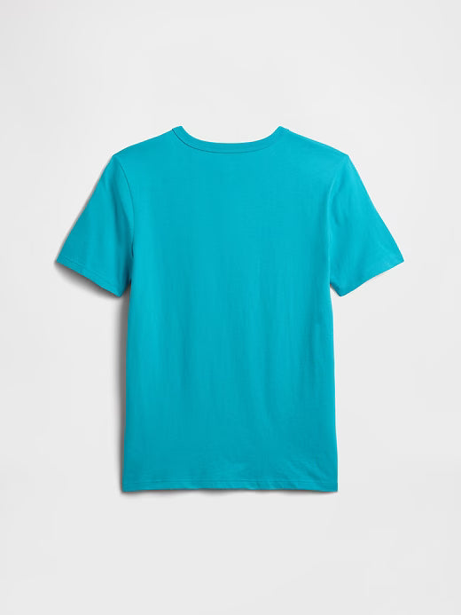 Gap Boys T-Shirt S/S 1175990