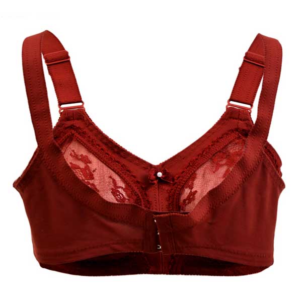Flourish Disclosure N/W N/P Bra (Maroon)