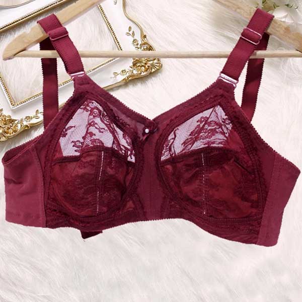 Flourish Disclosure N/W N/P Bra (Maroon)