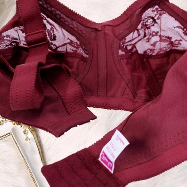 Flourish Disclosure N/W N/P Bra (Maroon)