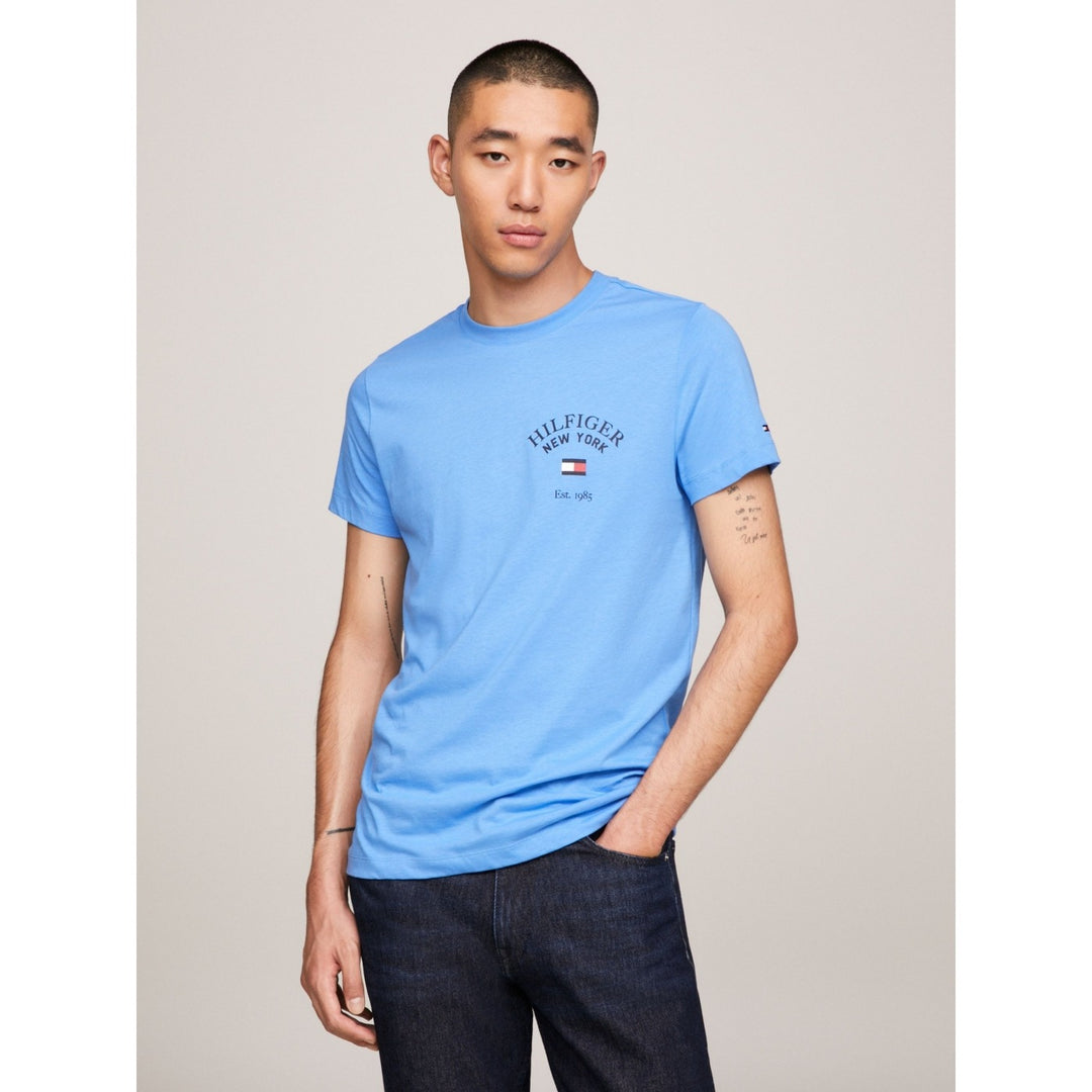 Tommy Men S/S R-N T-Shirt 400002233