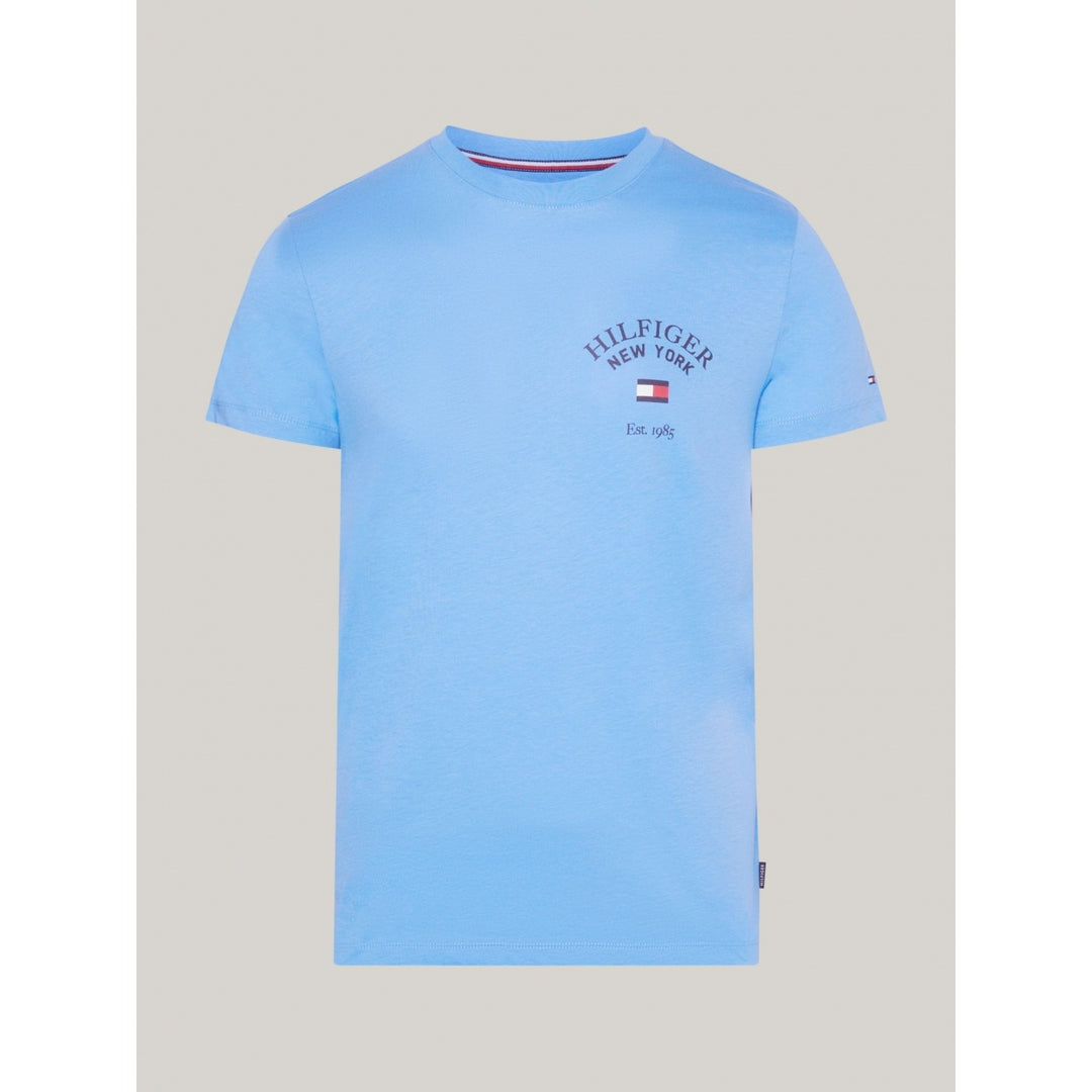 Tommy Men S/S R-N T-Shirt 400002233
