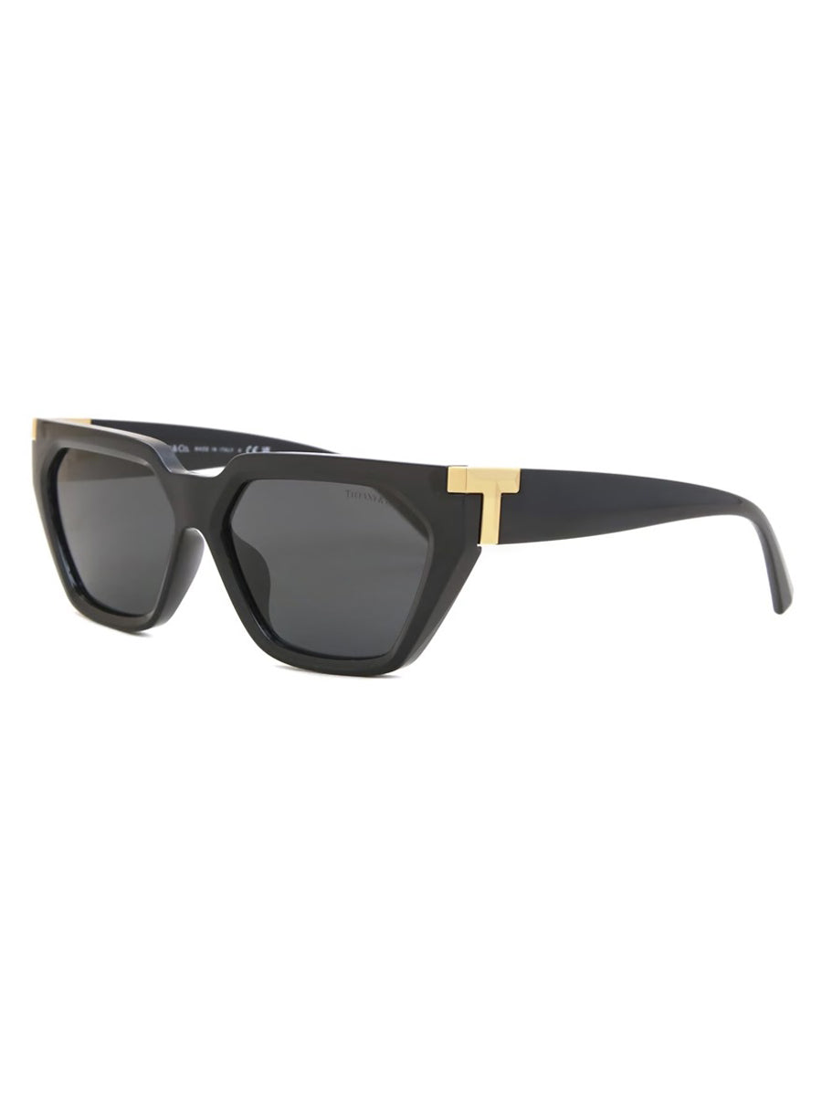 TIFFANY SUNGLASS TF4205U-56-8001s4