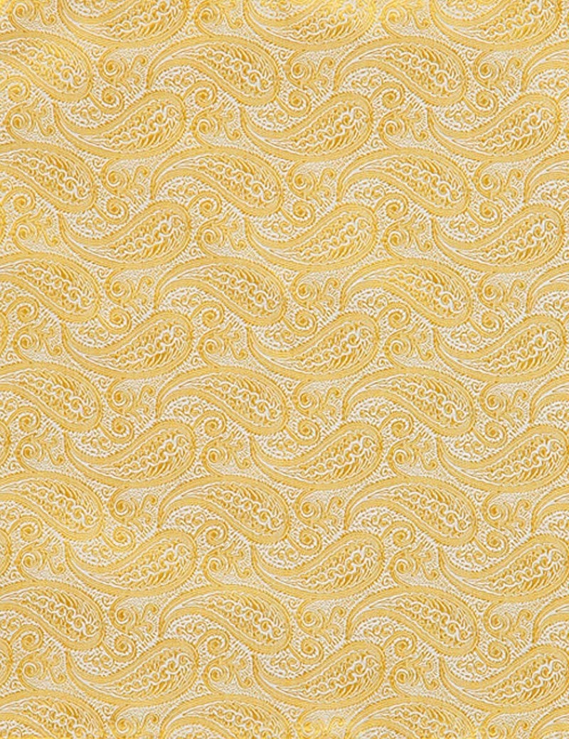 H & C Men Silk Paisley Design Pocket Hankies HADSA101 (Yellow)