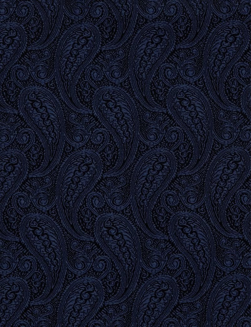 H & C Men Silk Paisley Design Pocket Hankies HADSA101 (Navy)