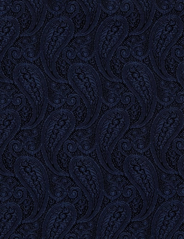 H & C Men Silk Paisley Design Pocket Hankies HADSA101 (Navy)