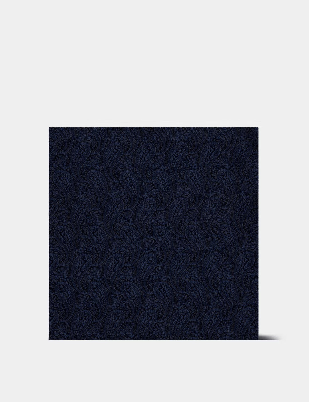 H & C Men Silk Paisley Design Pocket Hankies HADSA101 (Navy)