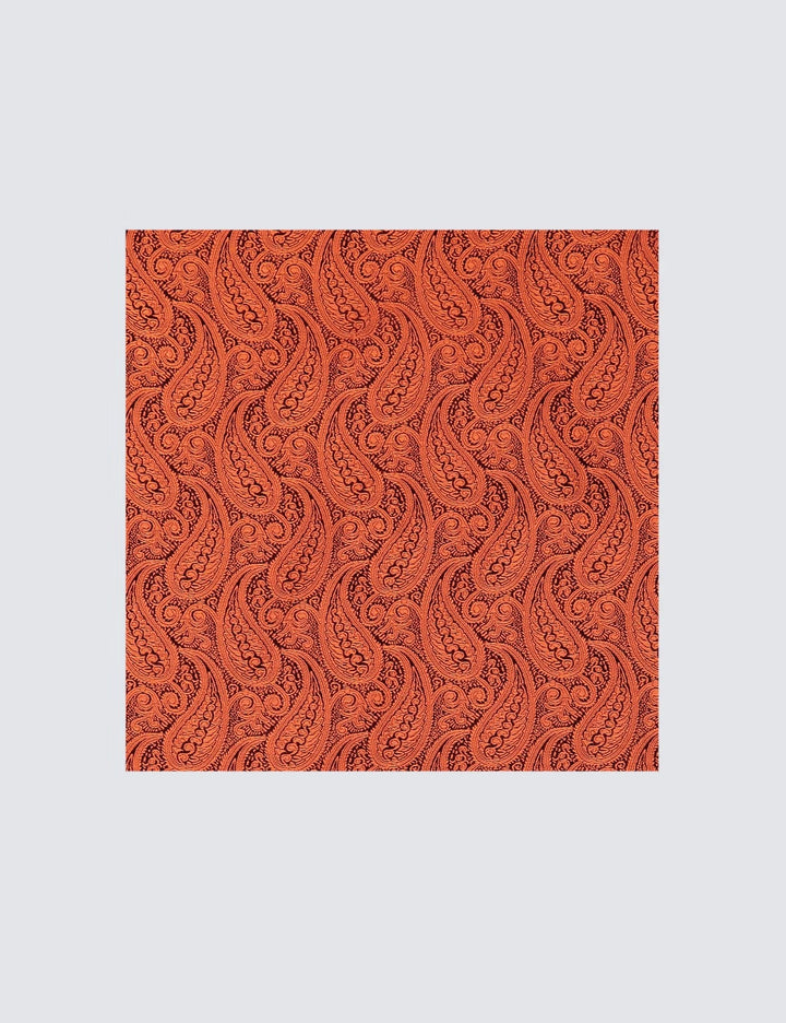 H & C Men Silk Paisley Design Pocket Hankies HADSA101 (Orange)