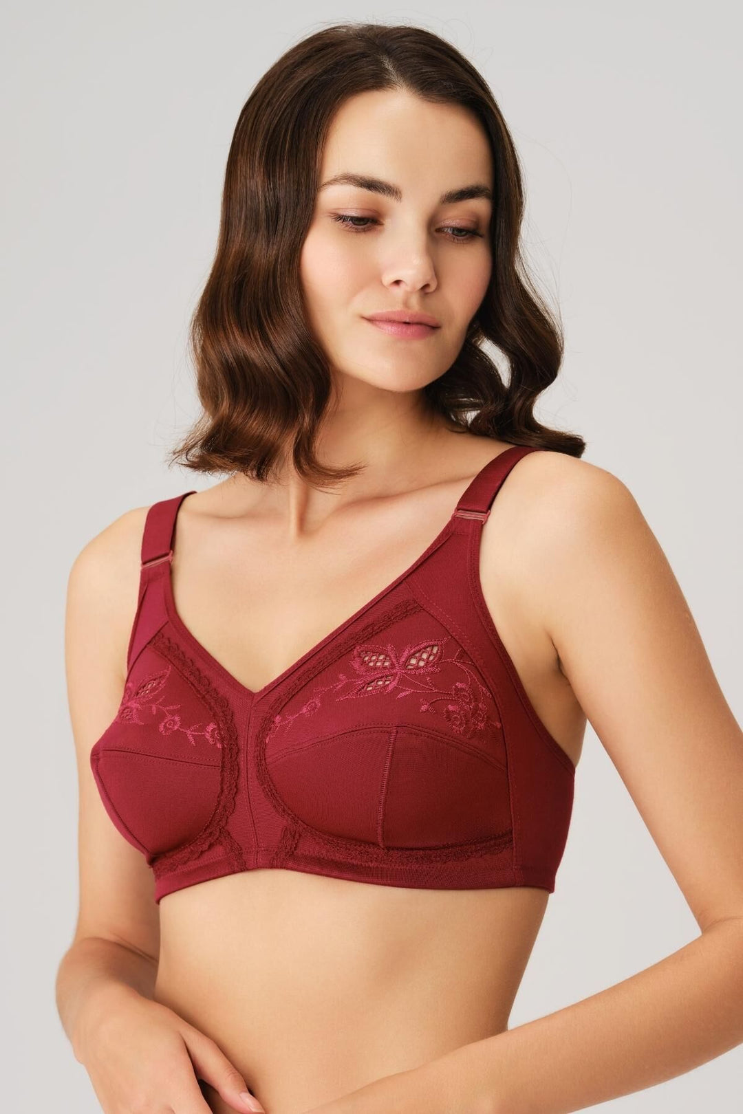 Anil Ladies N/W N/P Bra 3776 (Cherry)