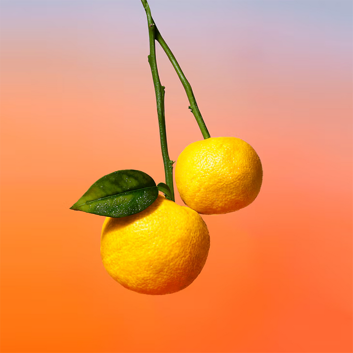 LV On The Beach EDP 100ml