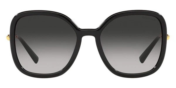 TIFFANY & CO. SUNGLASS TF4202-8001/3C