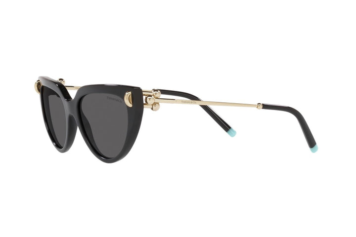 TIFFANY & CO. SUNGLASS TF4195-54-8001s4
