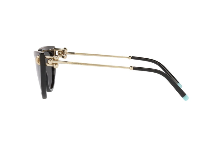 TIFFANY & CO. SUNGLASS TF4195-54-8001s4