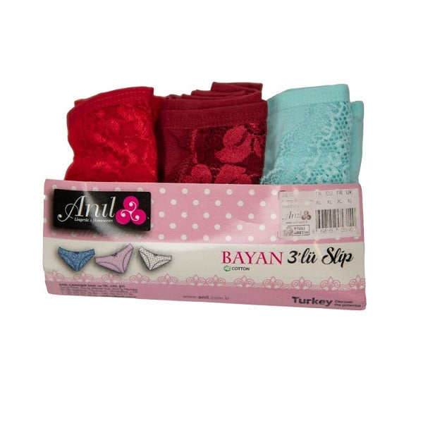 Anil Ladies 3 Pack Net Panty 2750