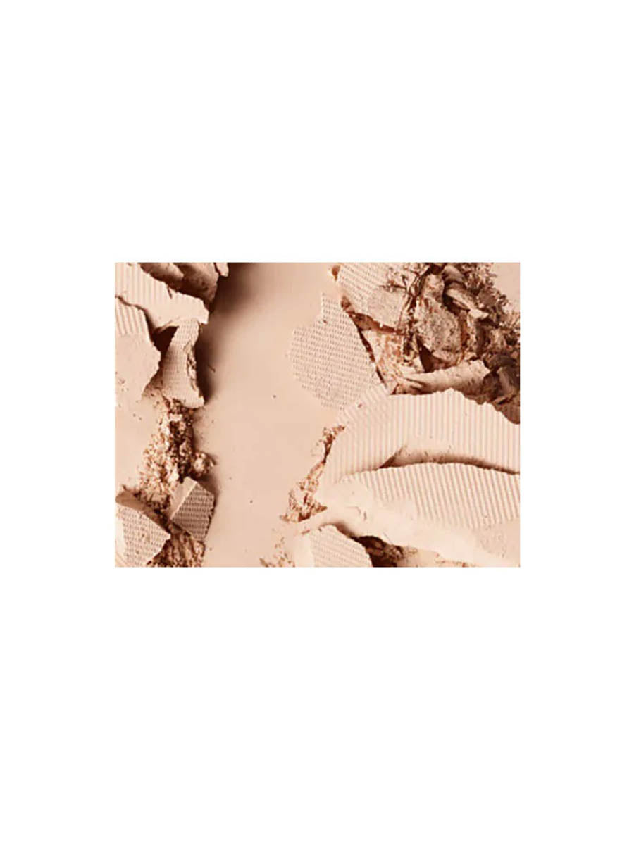Mac Foundation Studio Fix Powder Plus Foundation NW13