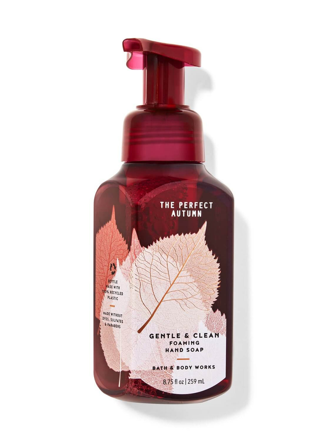 Bath & Body Works The Perfect Autumn Gentle Foaming Hand Soap 259ml