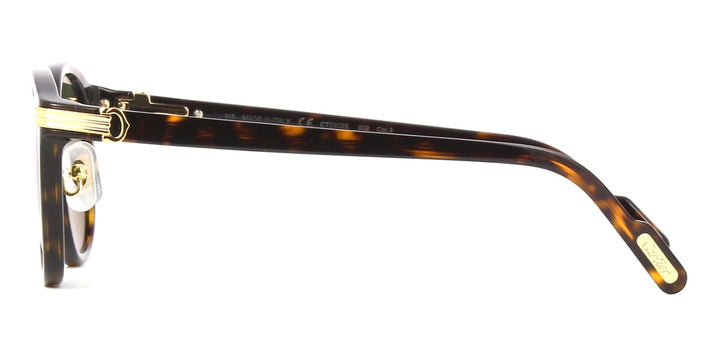 CARTIER SUNGLASSES-CT0302S-53